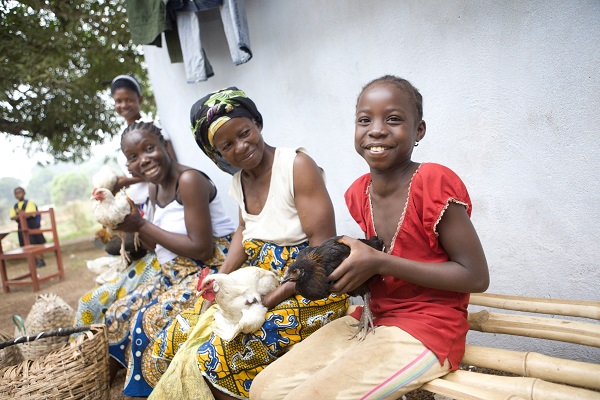 Elain Konah (seated, center) provides poultry vaccinations to her neighbors in Kakata, Liberia. (Photo: BRAC/Jake Lyell)