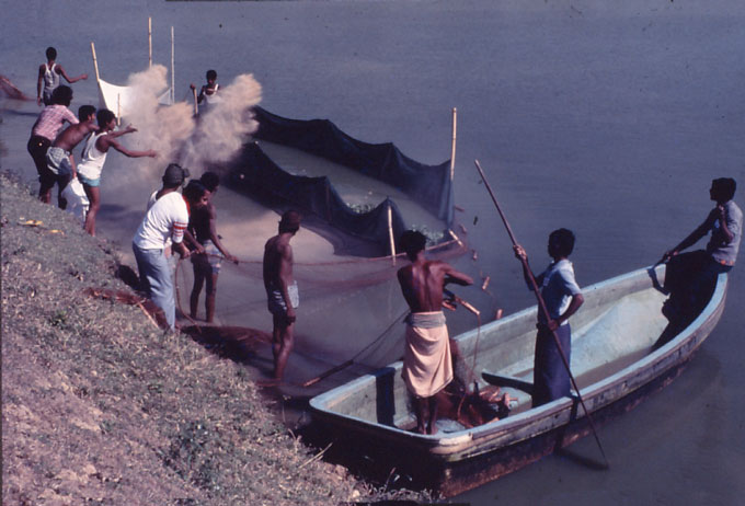 Training and supporting fishermen were one of BRAC's first development efforts.