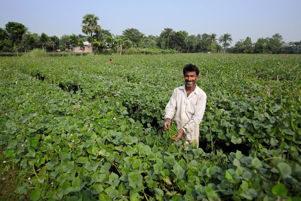 Scaling up crop insurance to tackle the global food crisis: Insights from Bangladesh
